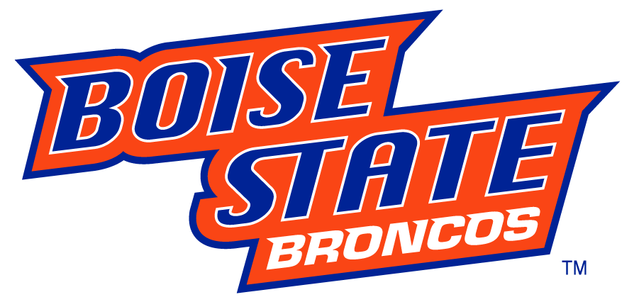 Boise State Broncos 2002-2012 Wordmark Logo v2 diy DTF decal sticker